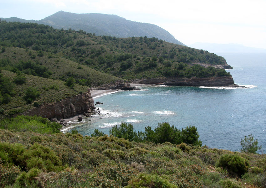 slideshow image